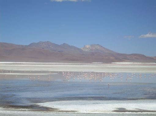 Salt tinted landscape